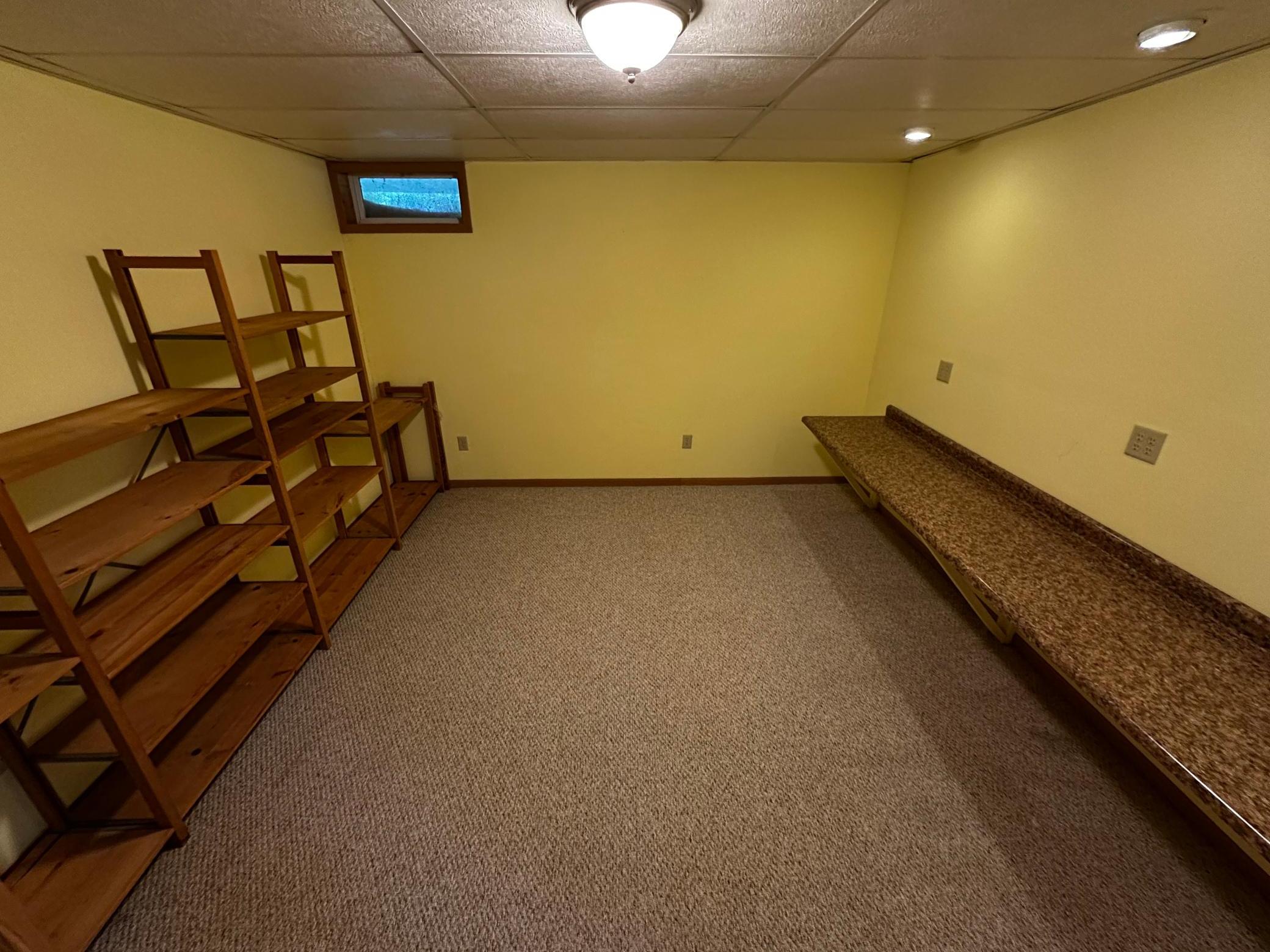 Basement Flex Room2.jpg