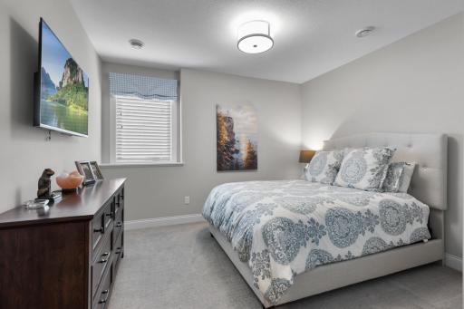 4th Bedroom-Lower Level with Walk-In Closet