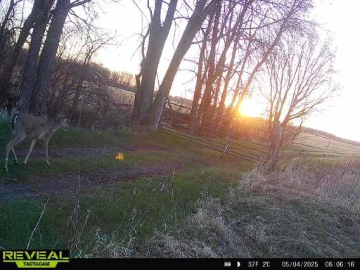 37791 390th Avenue, Aitkin, MN 56431