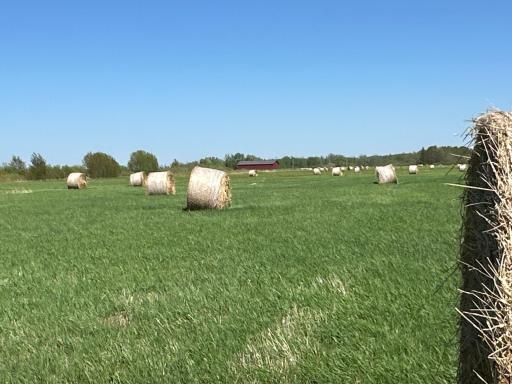 37791 390th Avenue, Aitkin, MN 56431