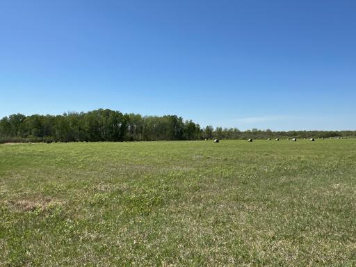 37791 390th Avenue, Aitkin, MN 56431