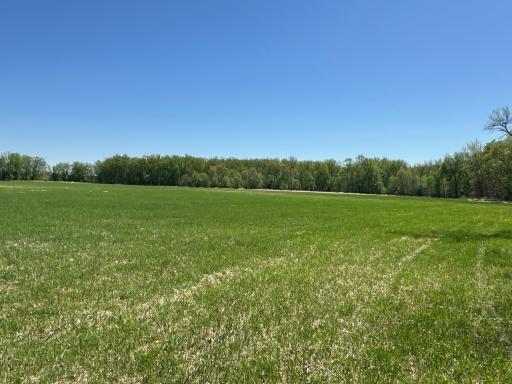37791 390th Avenue, Aitkin, MN 56431