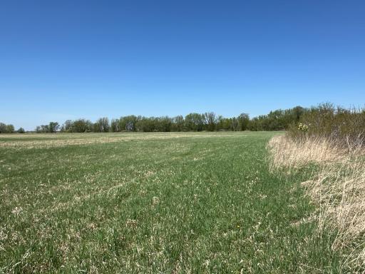37791 390th Avenue, Aitkin, MN 56431