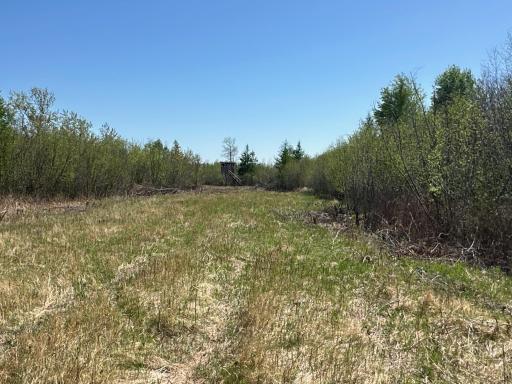 37791 390th Avenue, Aitkin, MN 56431