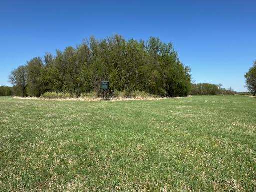 37791 390th Avenue, Aitkin, MN 56431