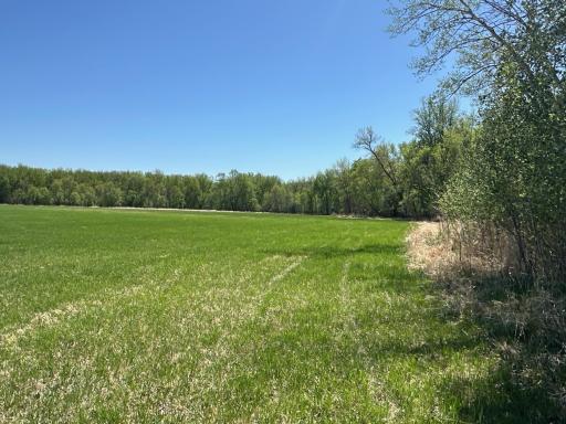 37791 390th Avenue, Aitkin, MN 56431