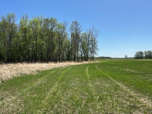 37791 390th Avenue, Aitkin, MN 56431