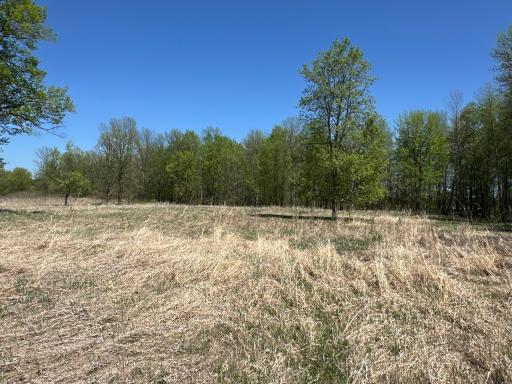 37791 390th Avenue, Aitkin, MN 56431