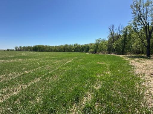 37791 390th Avenue, Aitkin, MN 56431