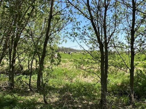 37791 390th Avenue, Aitkin, MN 56431