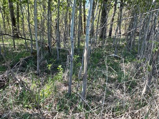 37791 390th Avenue, Aitkin, MN 56431