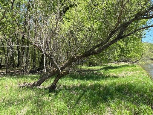 37791 390th Avenue, Aitkin, MN 56431