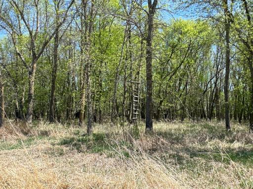 37791 390th Avenue, Aitkin, MN 56431