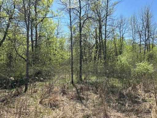 37791 390th Avenue, Aitkin, MN 56431