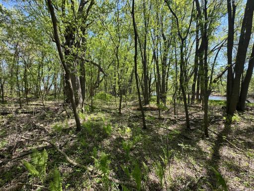 37791 390th Avenue, Aitkin, MN 56431