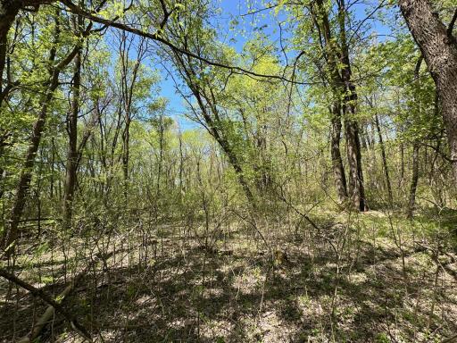 37791 390th Avenue, Aitkin, MN 56431