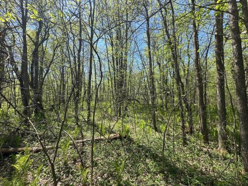 37791 390th Avenue, Aitkin, MN 56431