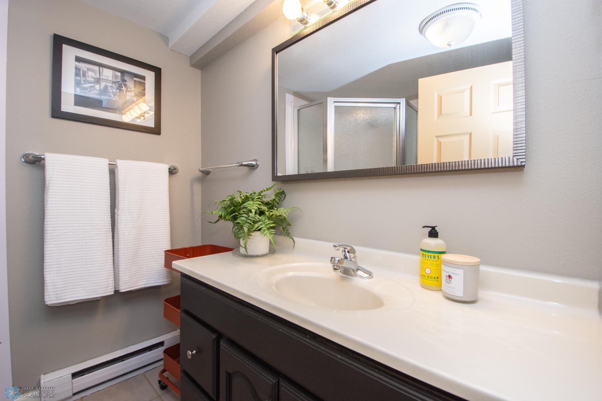 Basement Bathroom