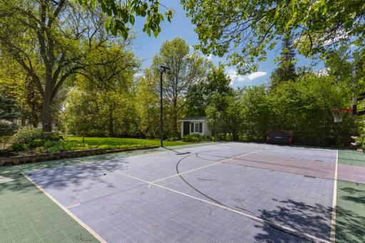 In the winter, convert the court into a backyard hockey rink â a dream setup for Minnesota winters.