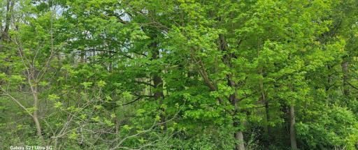 TBD County 45 Blvd, Red Wing, MN 55066