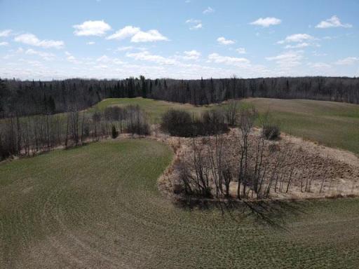 TBD Alfalfa Drive NW, Shevlin, MN 56676