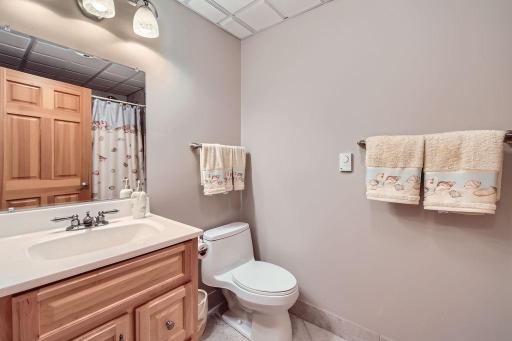 3901 Marshland Court, Saint Bonifacius, MN 55375