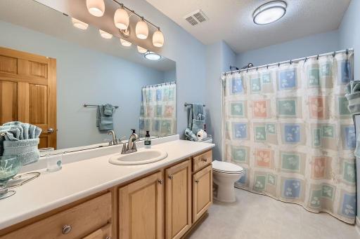 3901 Marshland Court, Saint Bonifacius, MN 55375