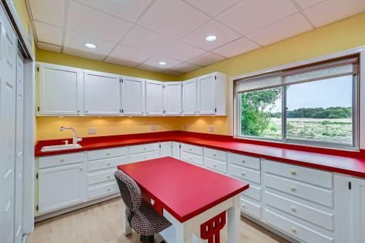 3901 Marshland Court, Saint Bonifacius, MN 55375