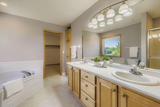 3901 Marshland Court, Saint Bonifacius, MN 55375