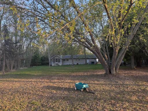 54202 Memory Lane NE, Waskish, MN 56685