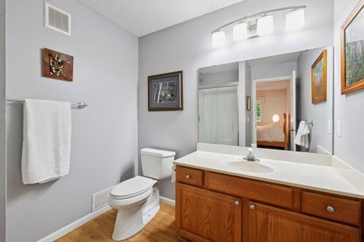 985 Carriage Hills Drive, Chaska, MN 55318