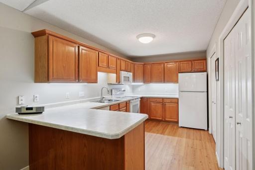 985 Carriage Hills Drive, Chaska, MN 55318