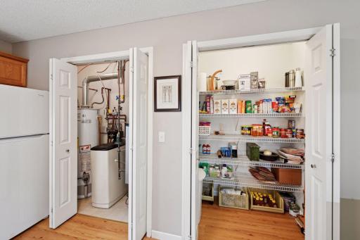 985 Carriage Hills Drive, Chaska, MN 55318