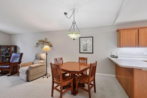 985 Carriage Hills Drive, Chaska, MN 55318