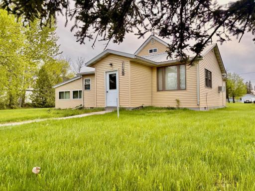 113 6th Avenue SE, Baudette, MN 56623