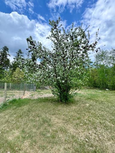 56279 350th Street, Warroad, MN 56763