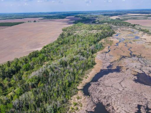 TBD County 152, Park Rapids, MN 56470