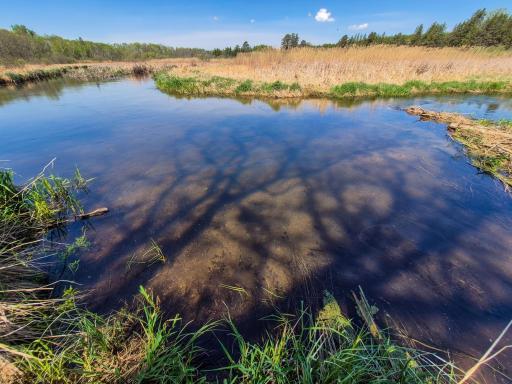 TBD County 152, Park Rapids, MN 56470