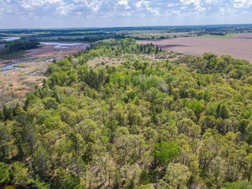 TBD County 152, Park Rapids, MN 56470