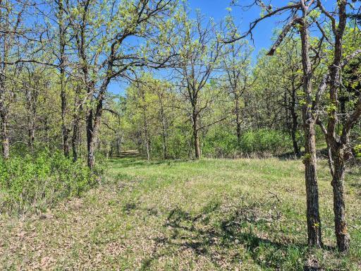 TBD County 152, Park Rapids, MN 56470