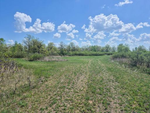 TBD County 152, Park Rapids, MN 56470