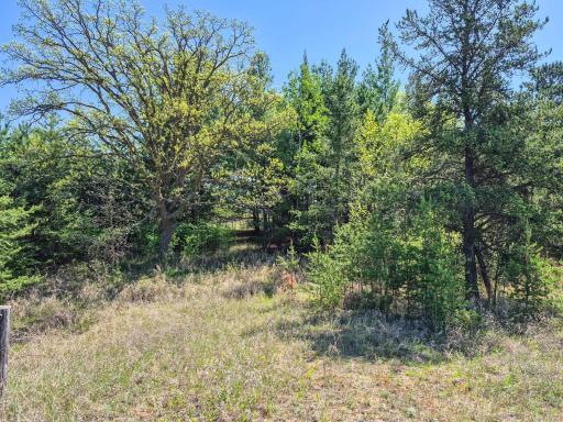 TBD County 152, Park Rapids, MN 56470