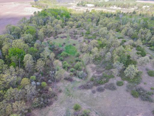 TBD County 152, Park Rapids, MN 56470