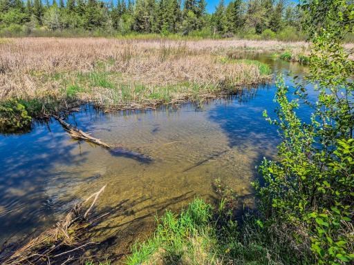 TBD County 152, Park Rapids, MN 56470