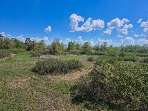 TBD County 152, Park Rapids, MN 56470