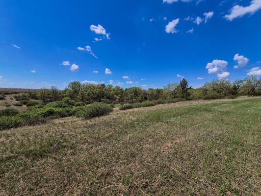 TBD County 152, Park Rapids, MN 56470