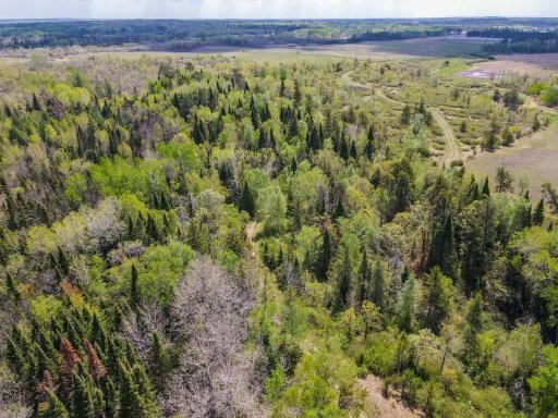 TBD County 152, Park Rapids, MN 56470