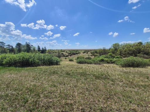 TBD County 152, Park Rapids, MN 56470