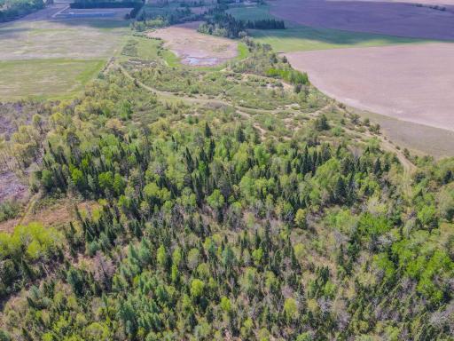 TBD County 152, Park Rapids, MN 56470