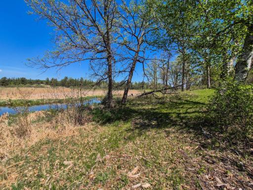 TBD County 152, Park Rapids, MN 56470